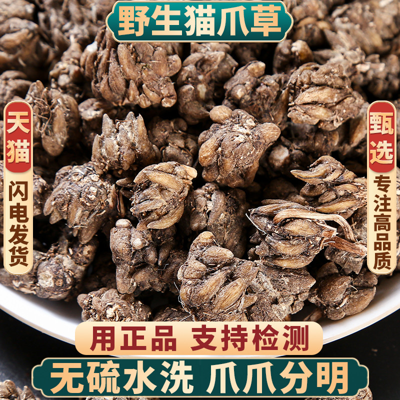 野生猫爪草500g250g100g中药材水洗猫爪草猫抓草郁金夏枯草蒲公英