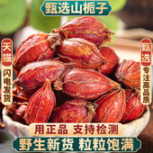 野生栀子500g250g100g正品 山栀子黄栀子栀子果泡水喝红栀子中药材