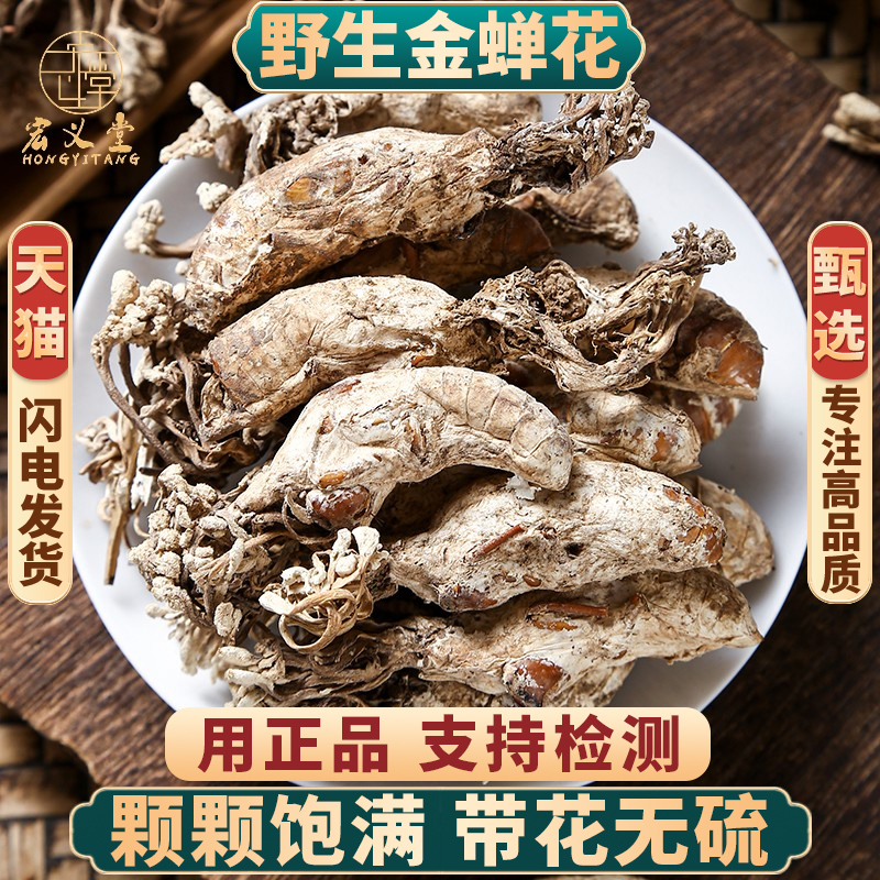 正品野生金蝉花新货无硫中药材