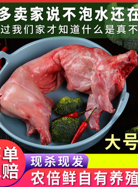 新鲜兔肉现杀冷冻兔子肉特大号兔散养活兔白条顺丰冷链