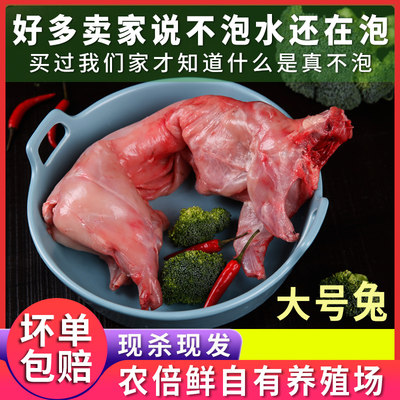 小编推荐【高品质】好兔肉