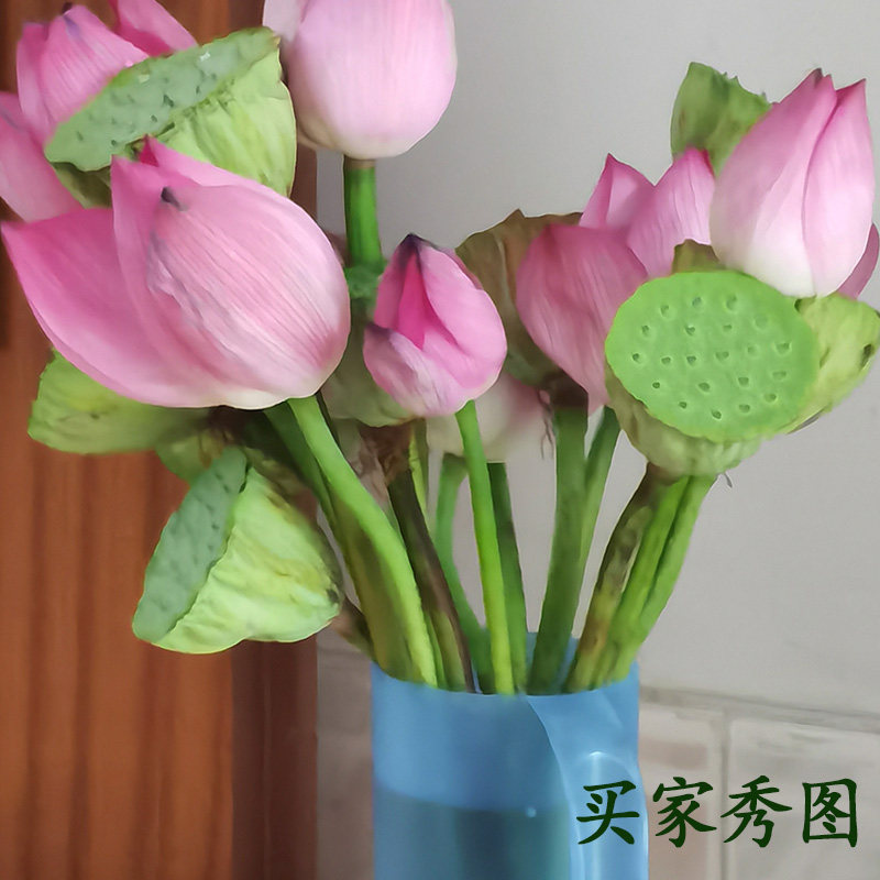 2026年新鲜莲蓬荷花带杆 新鲜莲蓬生吃 现摘鲜花莲花插花家用花束