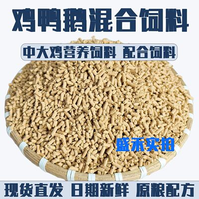 鸡鸭鹅混合饲料大颗粒大鸡高蛋白