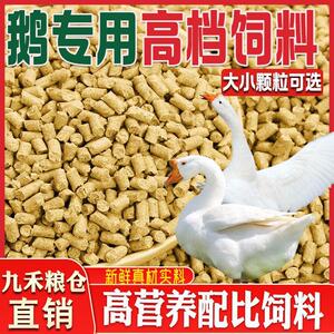 鹅饲料厂家100斤喂大鹅小鹅专用开口料肉鹅快速育肥大颗粒5斤