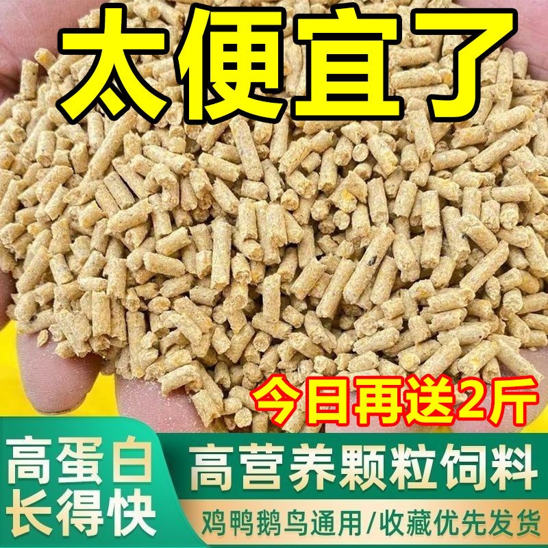 鸡饲料批发100斤玉米粒碎大饲料