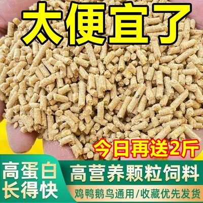 鸡饲料批发100斤玉米粒碎大饲料