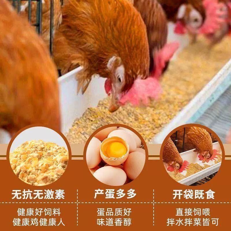 蛋鸡饲料中大鸡专用便宜全价料下蛋鸡鸭鹅粮食颗粒产蛋期配合饲料