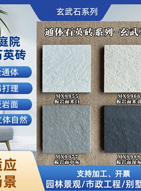 玄武石系列庭院石英砖全通体易打理PC砖石英砖12厚室外庭院地砖