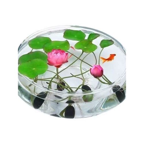 「案头山水掌心莲开」碗