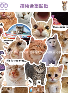 50张猫梗合集贴纸可爱表情包diy手机壳行李箱笔记本电脑装饰贴画