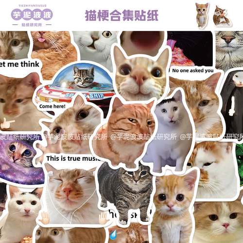 50张猫梗合集贴纸可爱表情包diy手机壳行李箱笔记本电脑装饰贴画