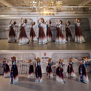 次仁拉索演出服藏舞舞蹈裙表演出服装套装新款女艺考民族舞练习裙