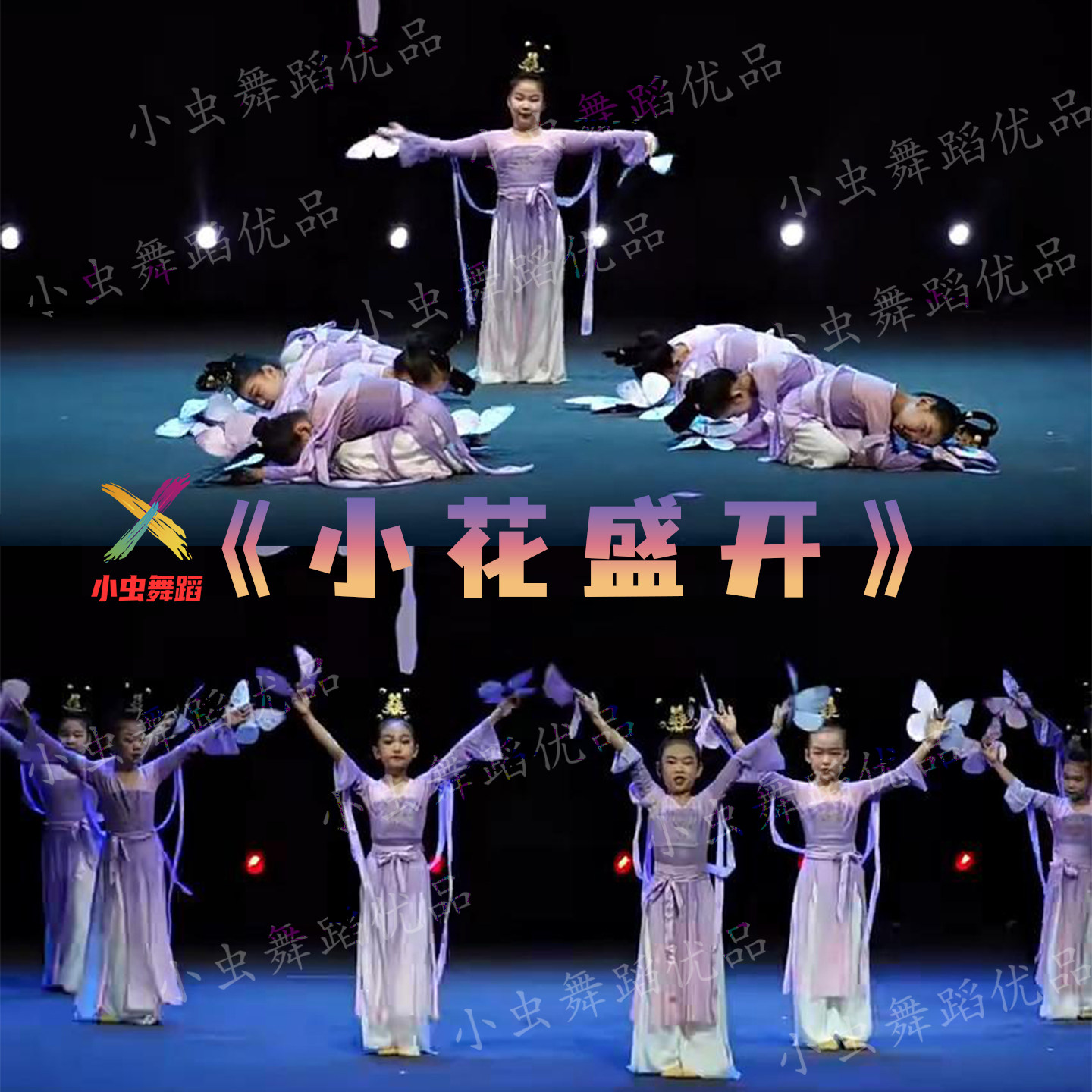 小花盛开舞蹈服装元旦儿童古典舞踩水演出服蝶舞花间蝴蝶道具纱衣
