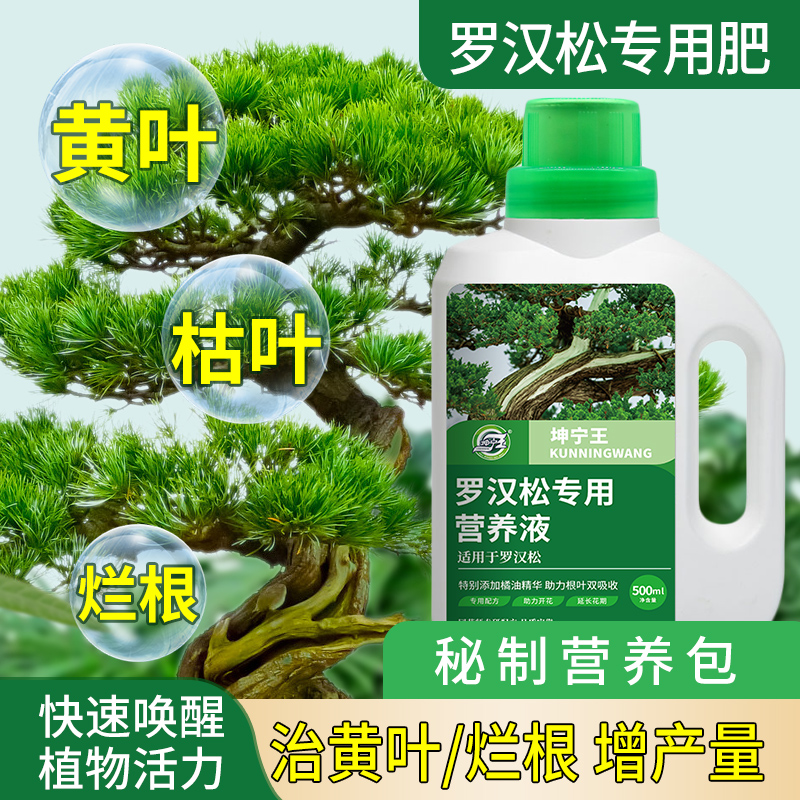 罗汉松营养液肥料专用肥泰山松雀舌四季大阪松树盆景盆栽通用型肥