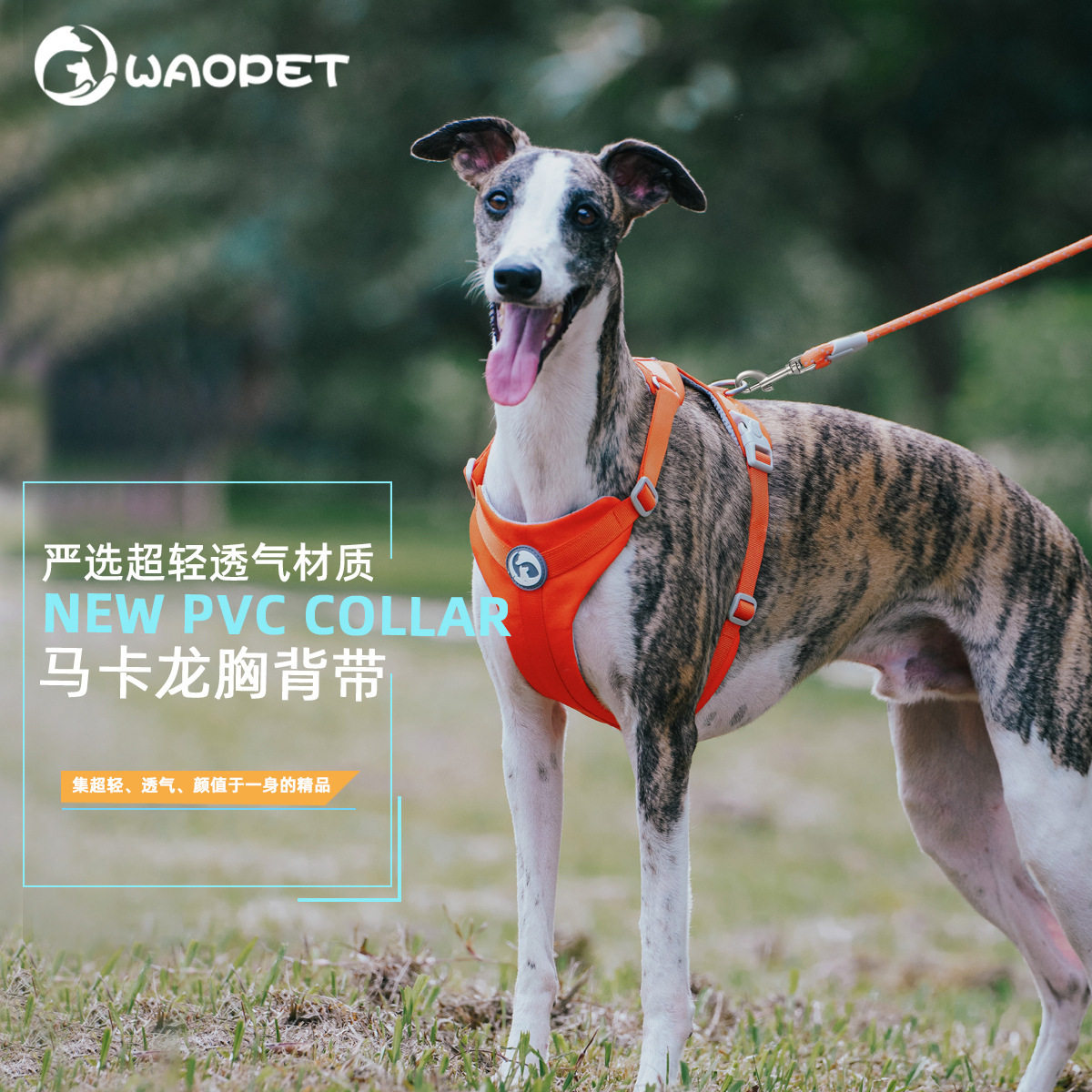 新款无包边胸背带马卡龙