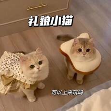 ПЭТ Элизабет