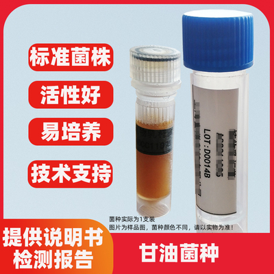 副干酪乳杆菌AS1.570二代液体甘油菌株质控学校试验用标准菌株