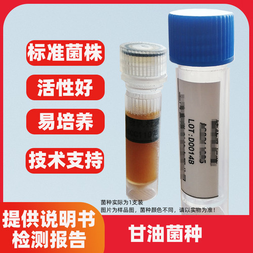 德氏乳杆菌保加利亚亚种CICC6047 二代液体甘油菌种菌株
