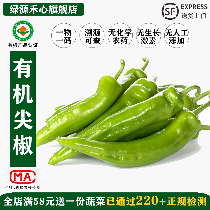 有机尖椒新鲜农场采摘无农残辣椒