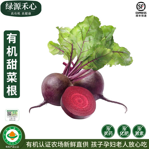 有机甜菜根农场新鲜现挖红甜菜头