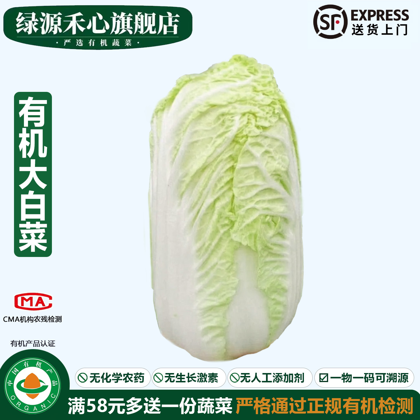 有机大白菜新鲜采摘山东胶州白菜