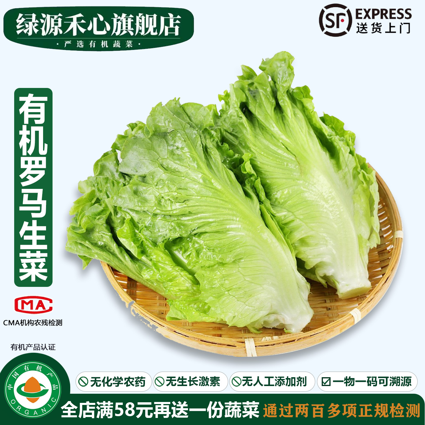 有机罗马生菜新鲜包心凯撒生菜