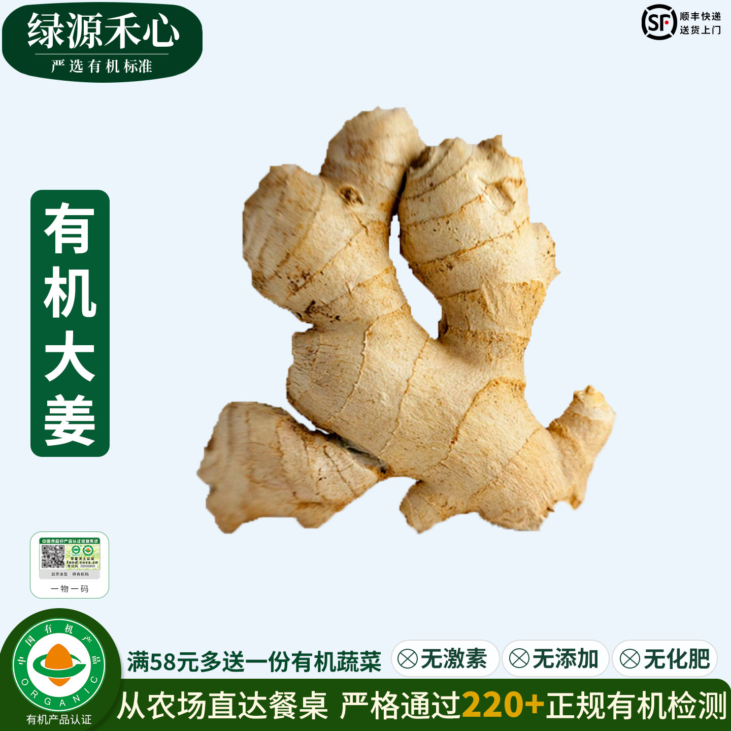 有机生姜农场新鲜山东大黄姜老姜