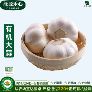 有机大蒜新鲜山东干蒜头白皮大蒜农家新干蒜大蒜头健康无农残蔬菜
