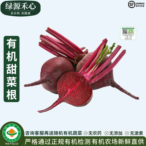 有机甜菜根新鲜现拔红菜头甜菜头