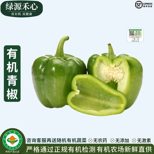 有机青椒新农场新鲜灯笼椒圆菜椒