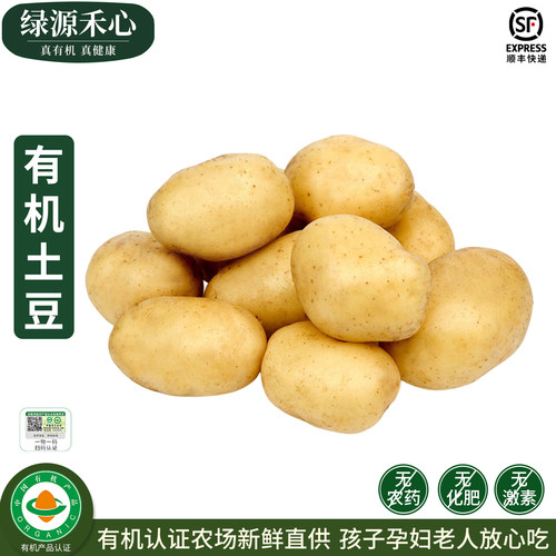 有机土豆新鲜挖黄心黄皮马铃薯