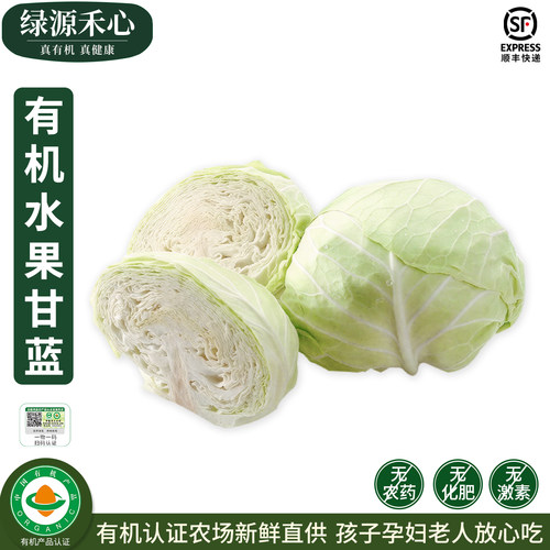 有机水果甘蓝新鲜扁包菜绿甘蓝