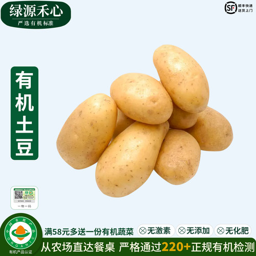 有机土豆山东农场新鲜黄心马铃薯