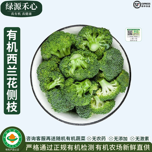 有机西兰花侧枝新鲜小朵切好盒装
