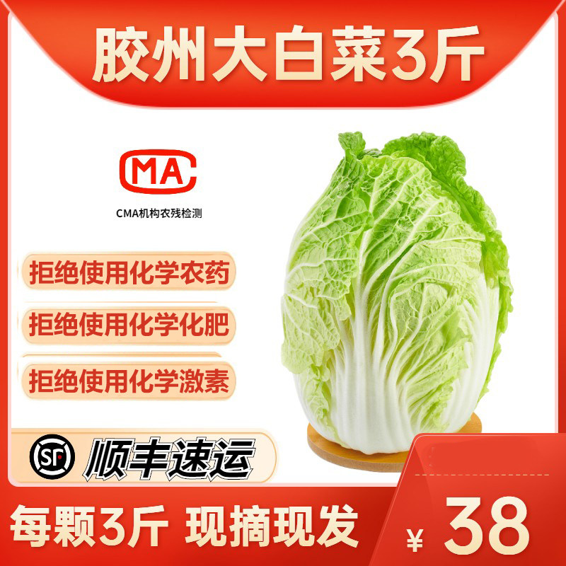 Luyuan Wo heart Orthodox school Jiaozhou Cabbage Fresh vegetables Farm Pick about 1.5kg geographical indication productin the Aquatic meat/Fresh fruits and vegetables/Cooked , Fresh vegetables/Vegetable products , Jingcai  category - from Buy2taobao.com to provide professional Taobao agent buy service
