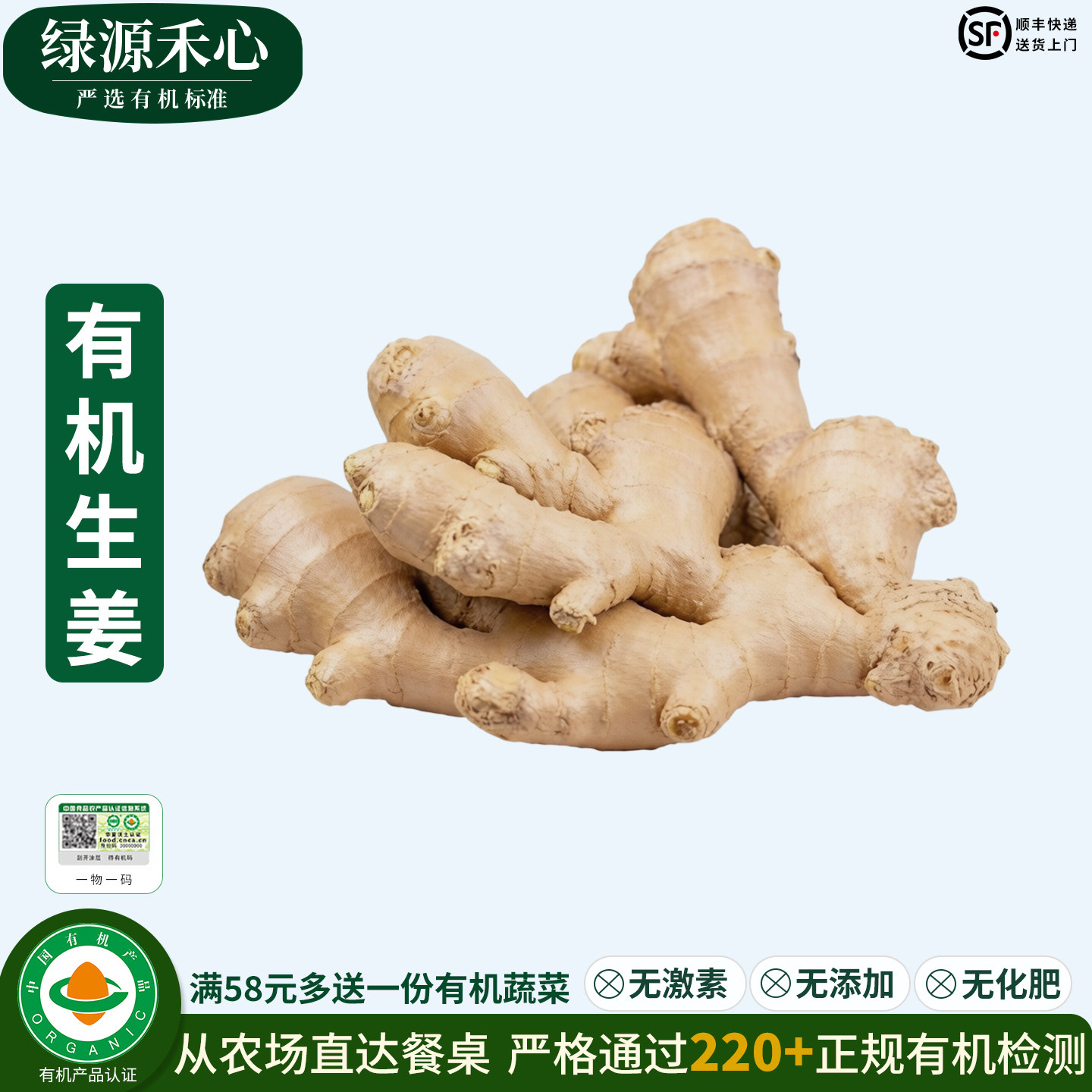 有机生姜农场新鲜山东大黄姜老姜