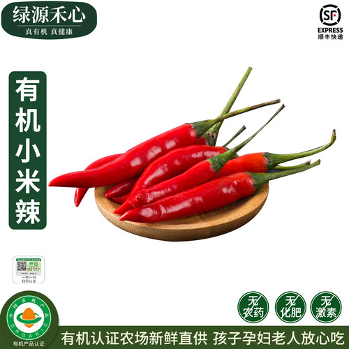 有机小米椒农场新鲜朝天小米辣椒