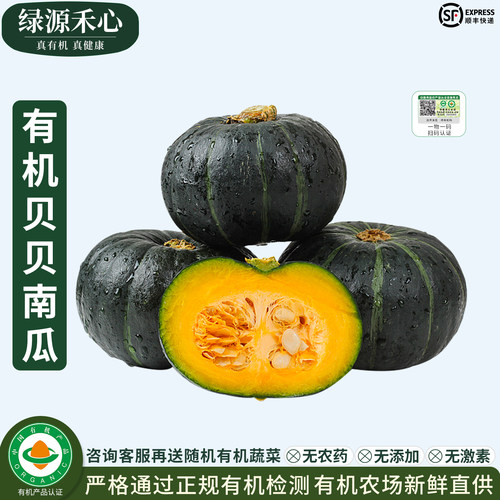 有机贝贝南瓜正宗板栗味小南瓜