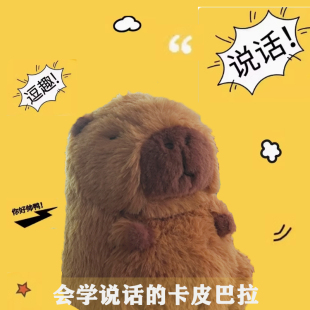 会学说话的卡皮巴拉水豚毛绒玩具公仔玩偶学舌生日送女生礼物