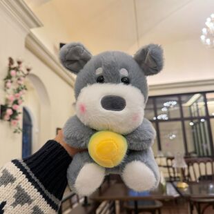 灰色毛绒小熊抱枕可爱治愈雪纳瑞毛绒玩具公仔送闺蜜生日礼物