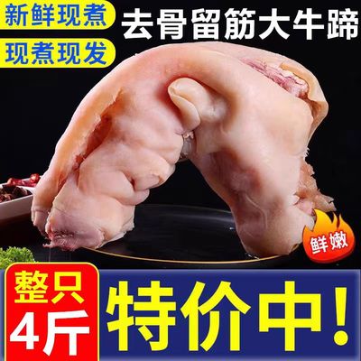 去骨牛蹄新鲜整只带筋