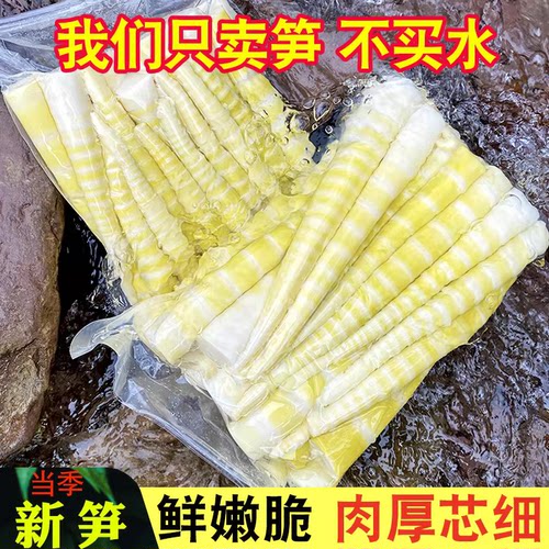 重庆竹笋新鲜春笋袋装罗汉笋