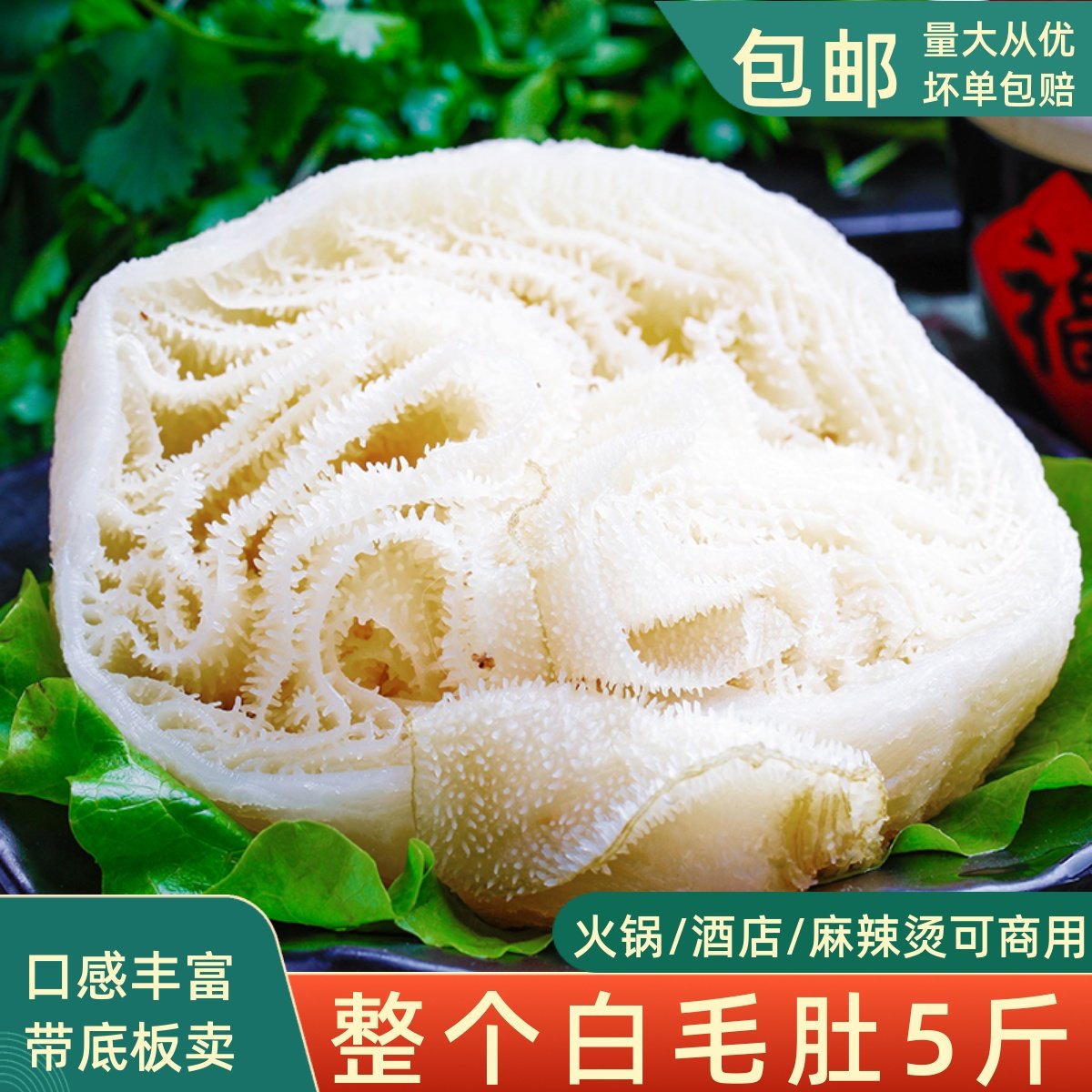 整个白毛肚5斤装新鲜整块牛百叶商用火锅专用白色毛肚大叶片涮锅