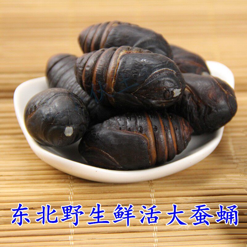 蚕蛹小伙东北特产鲜活柞大黑蝉蛹茧蛹500g特价一份拍2斤包邮