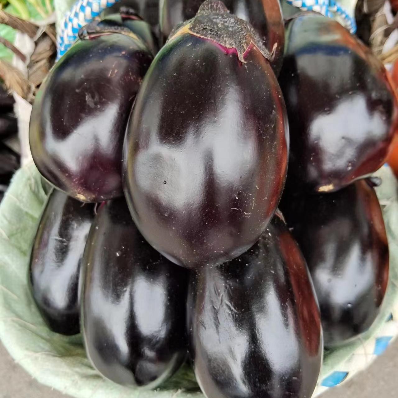 东北农家自己种的老品种紫灯泡茄子干碗茄子老味道1000克包邮顺丰