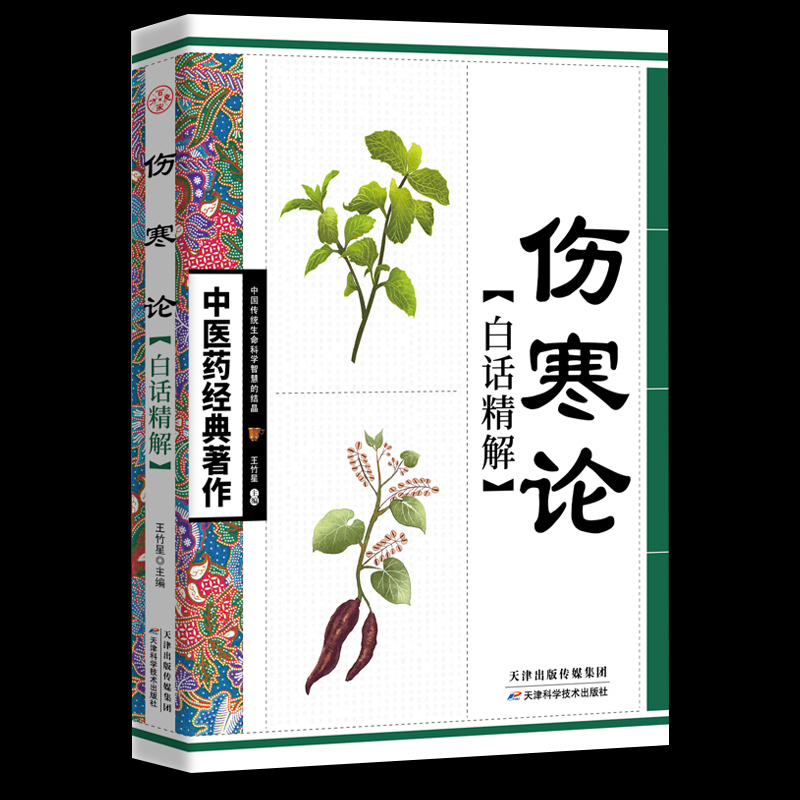 伤寒论白话精解 中医药经典著作 中华治病医典 古为今用中医谈 中医参考书籍 白话精解畅销书籍 中医入门基础 传世经典书