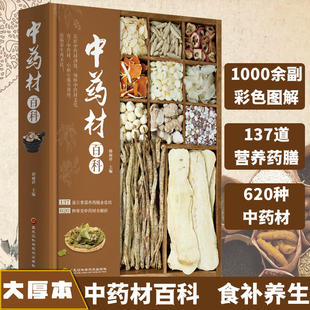 现货中药材百科中药方剂轻图典中草药图鉴大全百科书常见中药材功效解读中药知识入门对症调理养生药膳食谱书中医养生食疗中医书籍