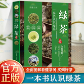 图解 一本书认识绿茶 收藏绿茶 如何品鉴绿茶 茶品审评优质茶选购储藏书 正版 制作工艺名茶品鉴绿茶冲泡方法 绿茶品鉴