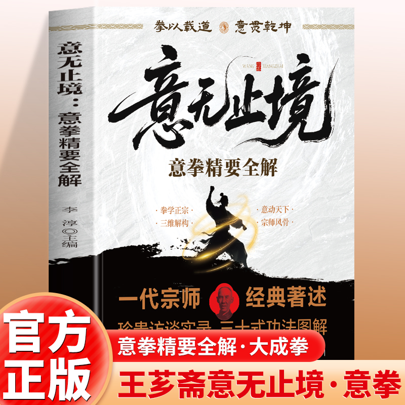 意无止境：意拳精要全解