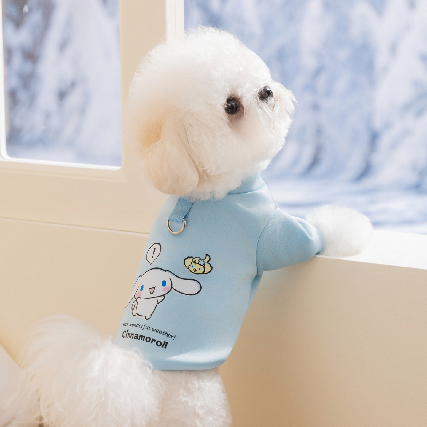 宠物秋冬款简约印花两脚卫衣保暖护体高颜值吸睛自带牵引扣狗服饰